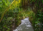 Dhigufaru Island Resort