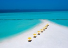 Dhigufaru Island Resort