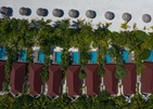 Dhigufaru Island Resort